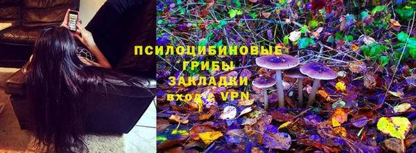 бутират Няндома