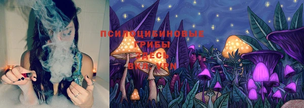 герыч Осинники